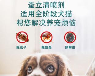 狗狗鼻孔发炎用什么药？如何正确选择治疗方案？