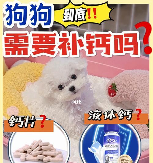 狗狗补钙过量会有哪些症状？如何正确补钙？