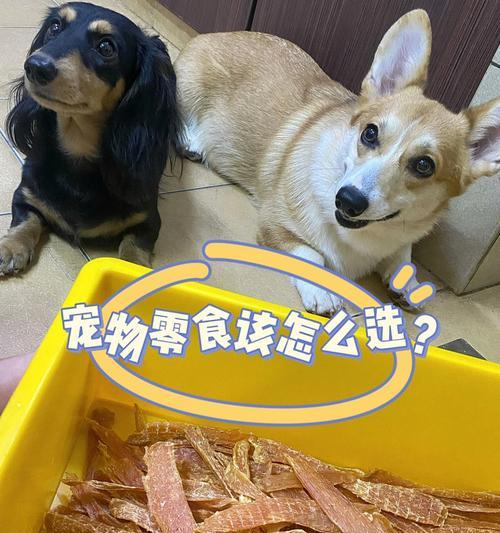 狗狗吃蔬菜零食怎么做？自制蔬菜零食的健康益处有哪些？