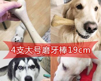 狗狗的磨牙棒有什么用？如何选择适合的磨牙棒？