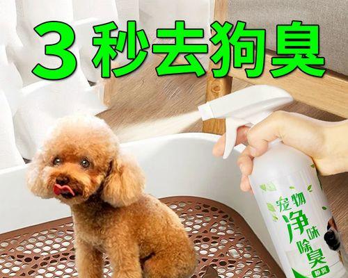 狗狗的消毒液使用方法是什么？正确使用消毒液有哪些注意事项？