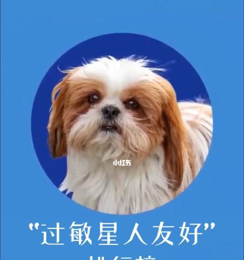 狗狗嘴肿过敏如何处理？有效缓解方法有哪些？