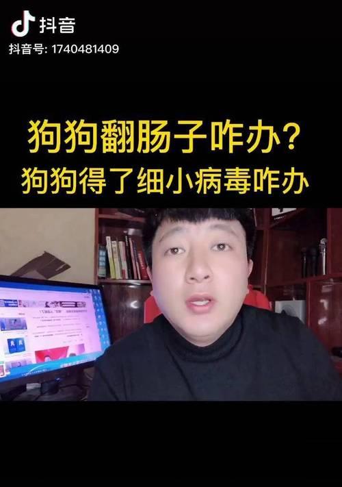 狗狗翻肠子喝什么症状？如何正确处理？