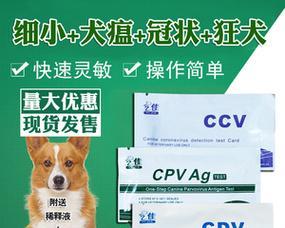 狗狗冠状病毒感染后应如何用药？