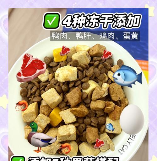 比熊幼犬饮食：何时可以吃鸡胸肉肠子？