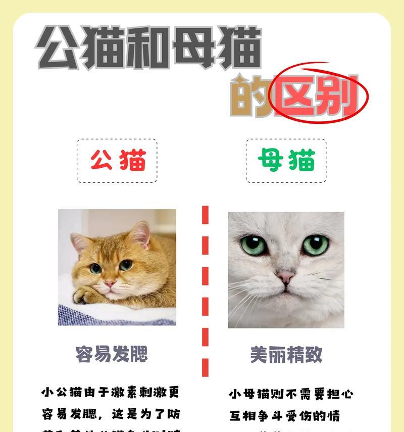 花猫是家畜吗？公猫和母猫有什么区别？