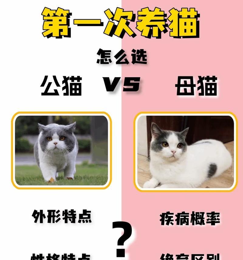 花猫是家畜吗？公猫和母猫有什么区别？