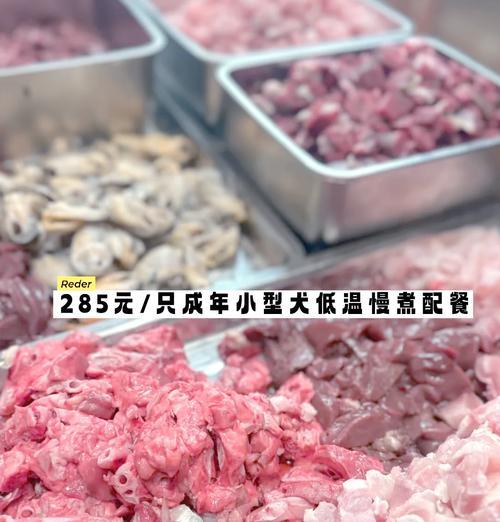 小比熊饮食转变：三个月大可以开始吃肉吗？