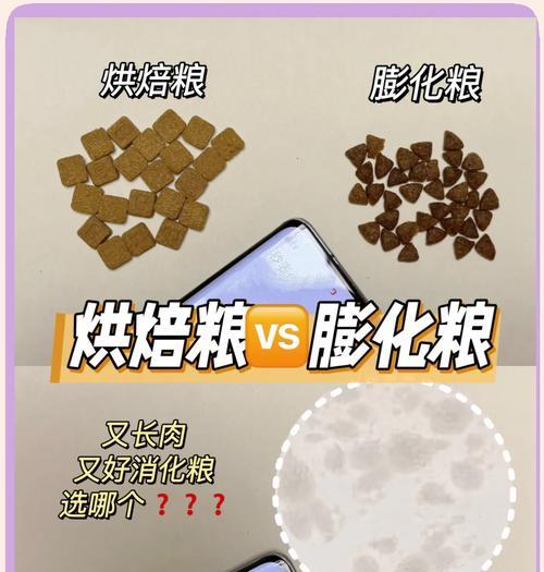 比熊产后一周能否喂狗粮？喂食建议是什么？