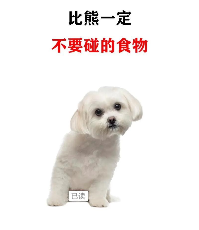 比熊犬每月吃蛋黄的频率应该是多少？蛋黄对比熊有何益处？