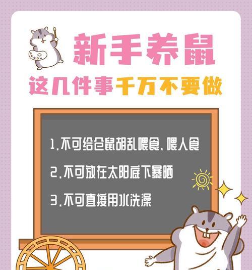 仓鼠的最佳过年时间是什么时候？如何准备？