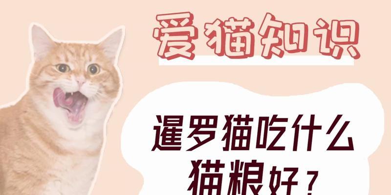 六个月的暹罗猫一天应该吃多少克猫粮？喂食暹罗猫需要注意什么？