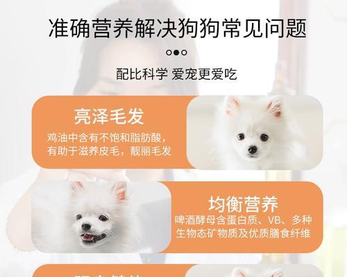 两只中型犬的日常狗粮量应该是多少？如何合理分配？