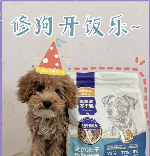 比熊犬适合吃哪些鸭肉干？