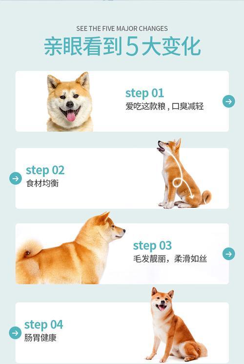 50天柴犬吃狗粮后呕吐原因是什么？