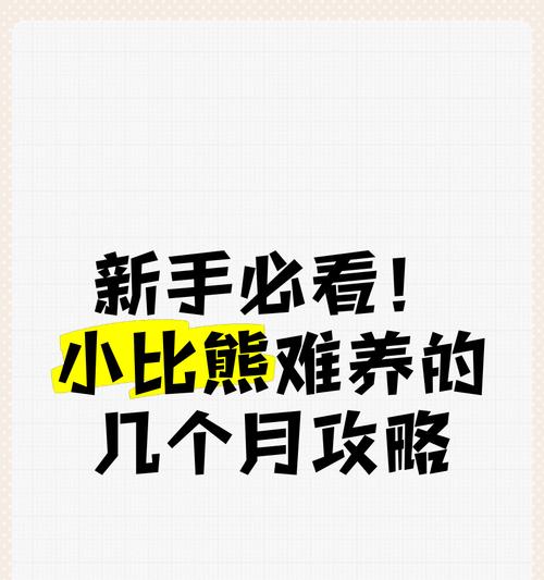 三个月小比熊的喂养建议是什么？如何确保营养均衡？