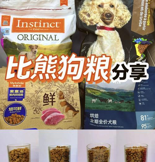 四个月比熊不吃狗粮改吃普通食物可行吗？如何过渡？