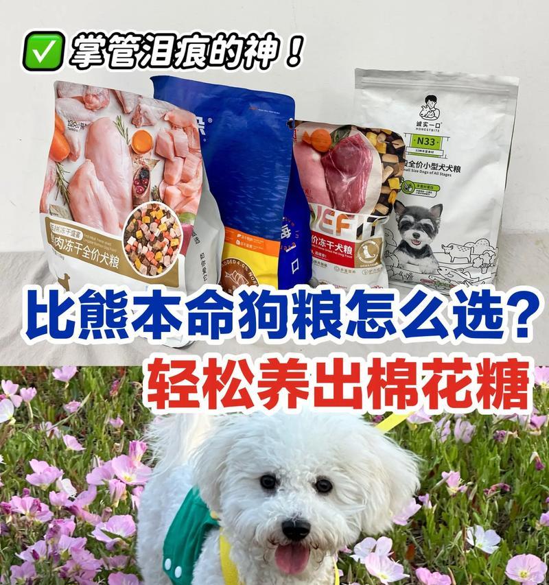 四个月比熊不吃狗粮改吃普通食物可行吗？如何过渡？