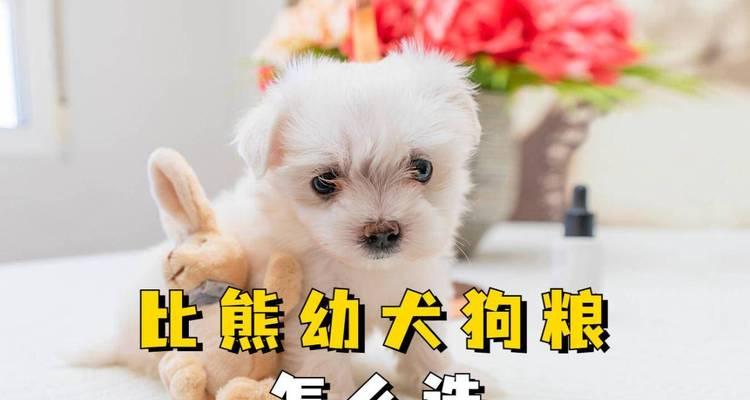 幼犬比熊吃狗粮时可以加奶粉吗？这样做的好处是什么？