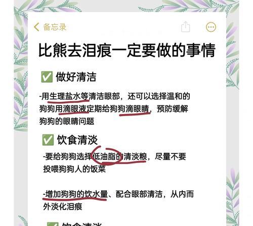 给比熊喂狗粮的正确方法是什么？有哪些注意事项？