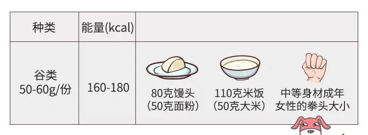 中型犬幼犬每次喂食量是多少克？如何确定？