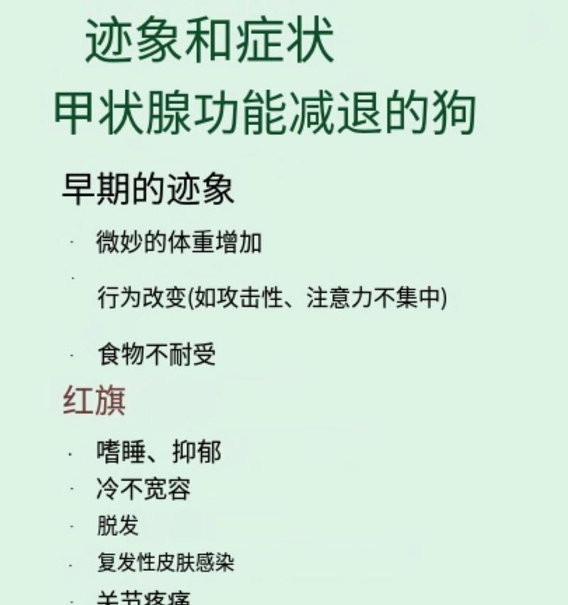 泰迪贵宾犬作为陪护犬的优势是什么？如何训练？