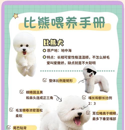 比熊犬吃硬狗粮还是泡鸡粮更健康？如何选择合适的狗粮？