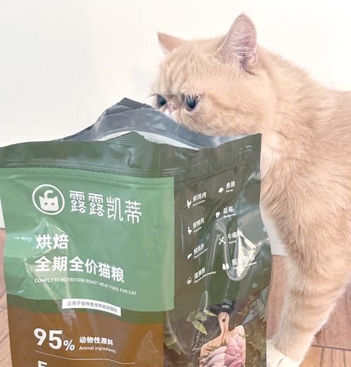 加菲猫偏爱哪些口味的猫粮？有哪些推荐品牌？