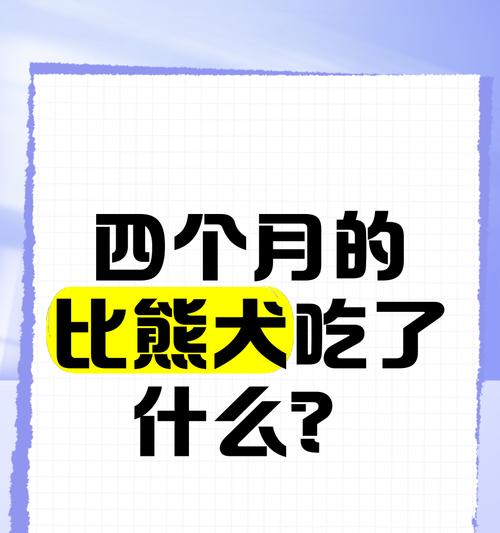 比熊幼犬每日狗粮摄入量是多少？