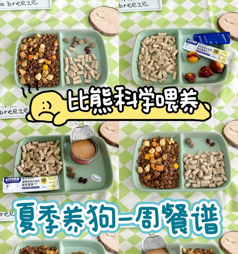 小比熊每日狗粮量及喂食次数？