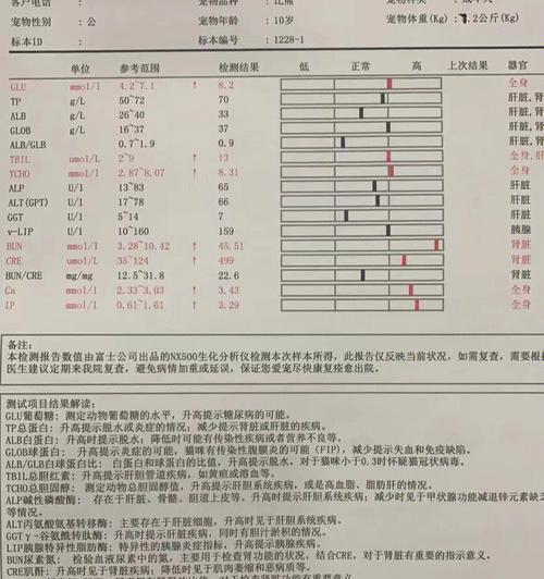 两个月比熊的单次喂食量应该是多少？