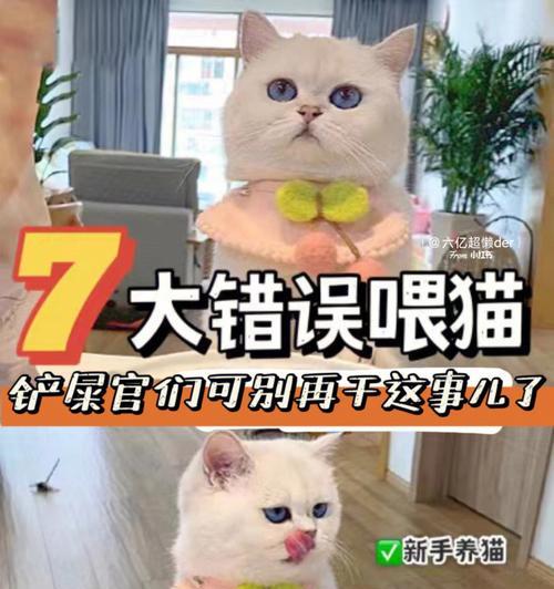 猫家禽和家畜哪个更容易养活？养猫需要注意什么？