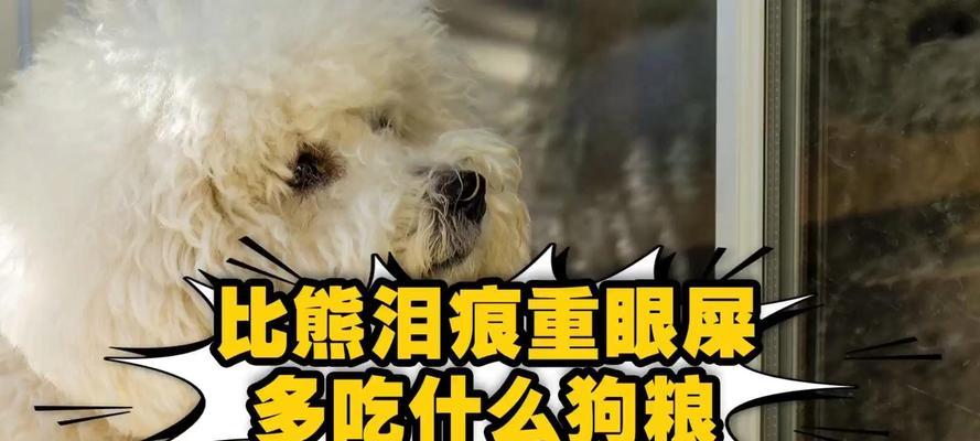 比熊幼犬换狗粮不适应怎么办？是否应该坚持新狗粮？