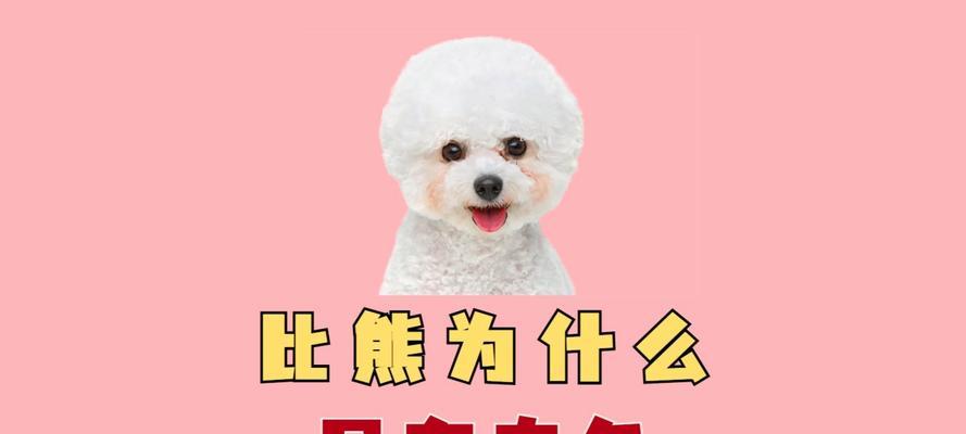 比熊幼犬食用生熟鸡胸肉的利弊有哪些？