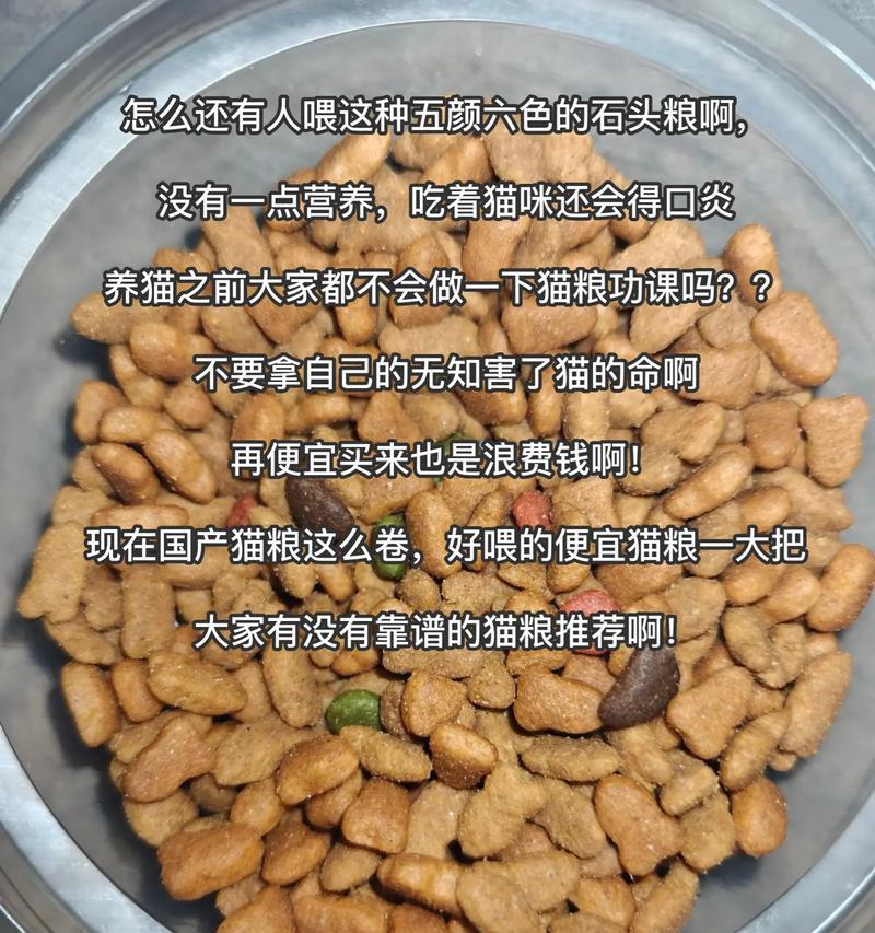 幼猫吃猫粮应该间隔多久一次？如何安排喂食计划？