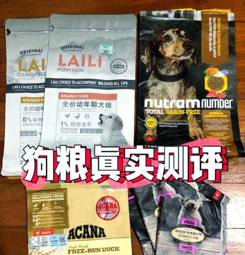 比熊每日粮食定量是多少粒？如何确保营养均衡？