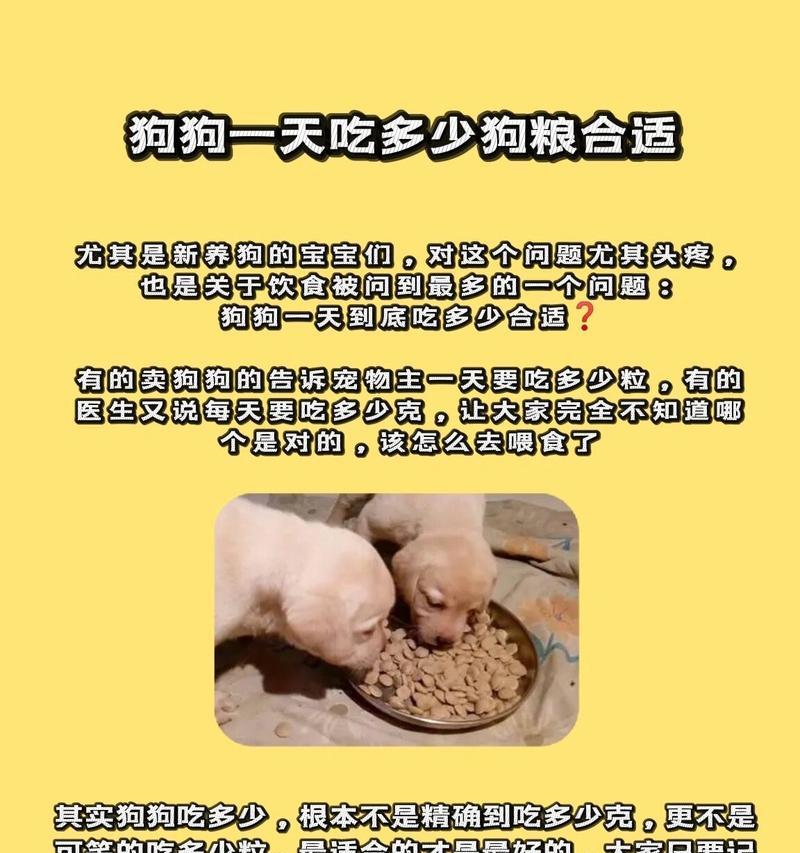 四个月狗狗每日狗粮推荐量是多少？