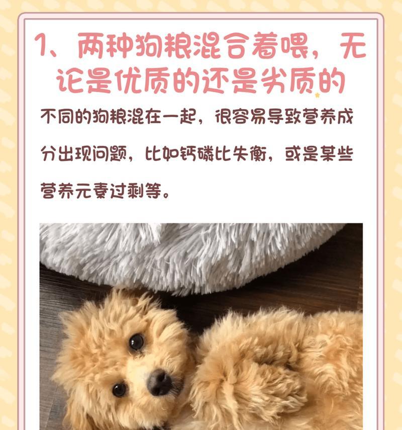 狗狗不习惯吃狗粮和喝水怎么办？有效训练方法是什么？