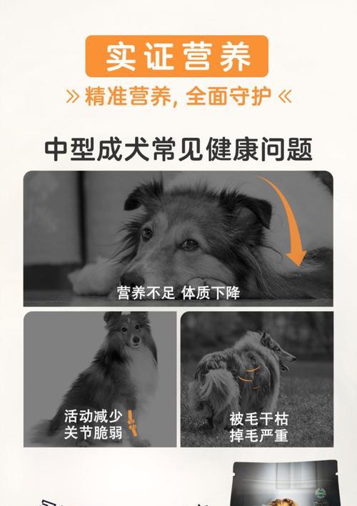 中型犬四个月吃多少狗粮合适？中型犬四个月狗粮推荐有哪些？