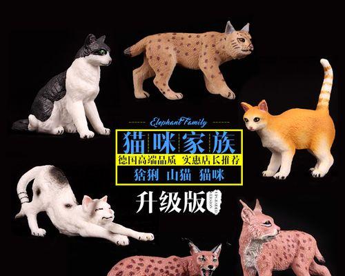 猫是家禽还是家畜？哪种更易养活？