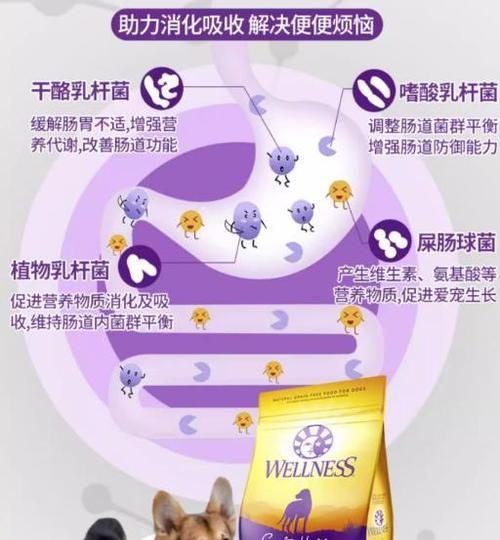 柴犬拒食狗粮：可能的原因及解决办法是什么？