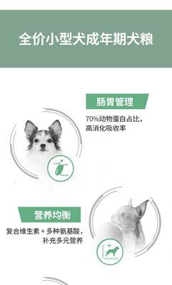 两只小型犬一周要吃多少狗粮？如何计算合适量？