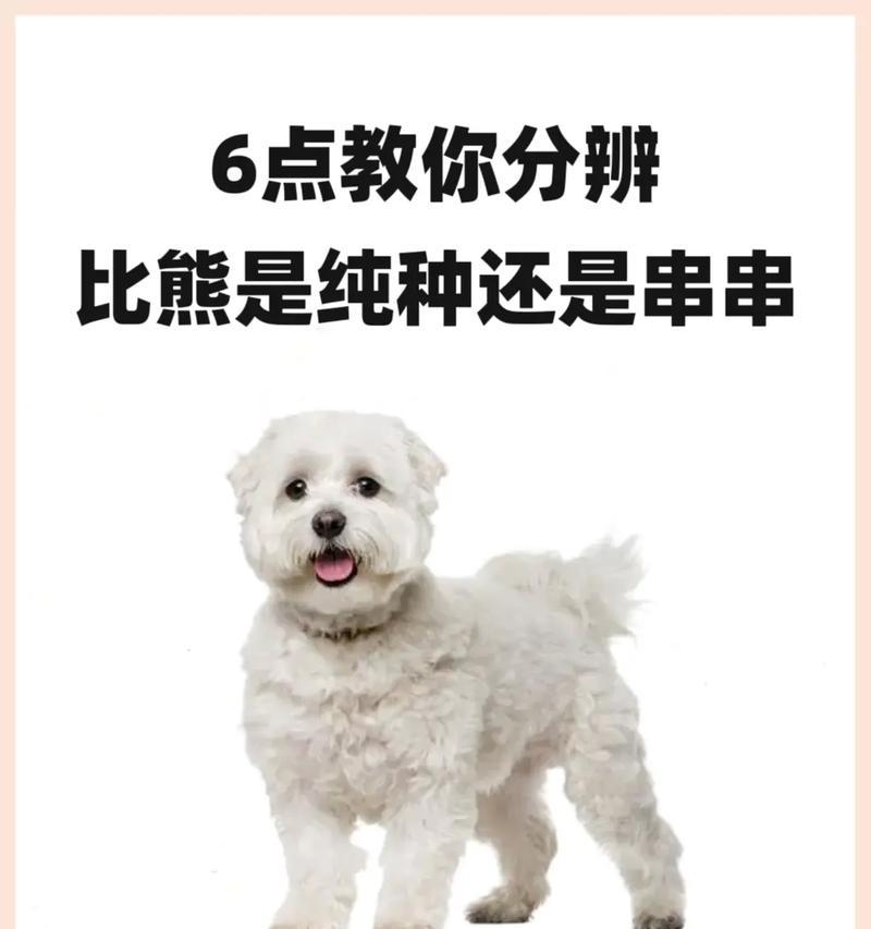 比熊犬吃青鱼会有毒吗？