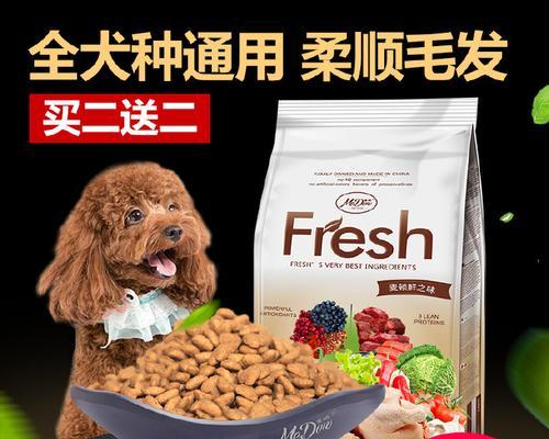 比熊可以吃猪肉末炖白菜吗？有什么需要注意的吗？