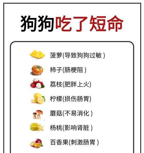 比熊犬可以吃鸡胸肉粥吗？制作鸡胸肉粥的正确方法是什么？