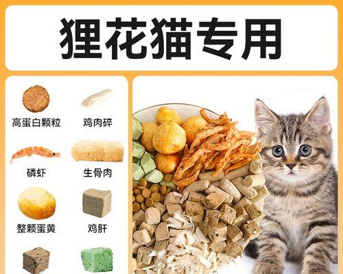 幼猫吃猫粮一次应该吃多少颗？