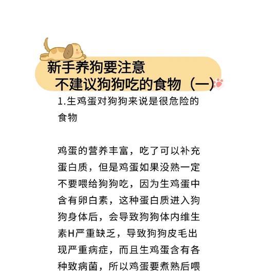 4个月比熊可以吃鸡蛋黄吗？不吃蛋黄的原因是什么？