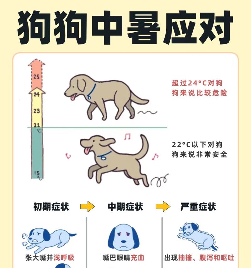 泰迪犬需要在多少温度下穿衣服？