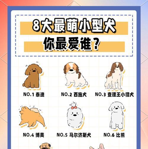 有哪些好看不叫的小型犬品种？它们的性格特点是什么？