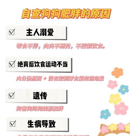 柴犬公犬的理想体重是多少？如何保持健康体重？